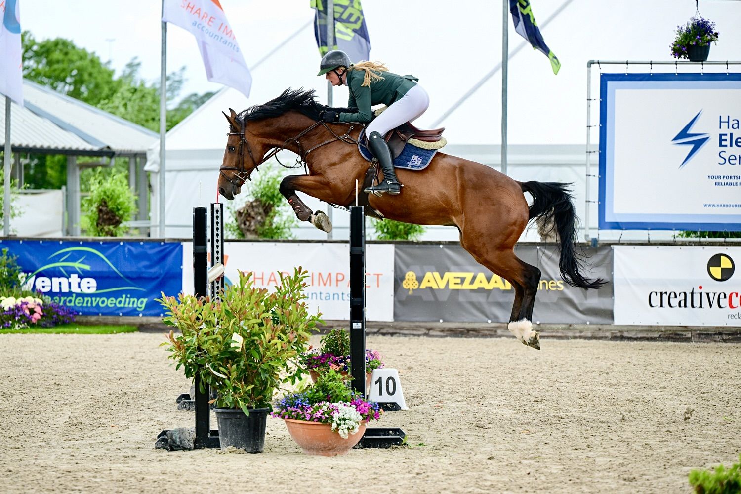 Springpaard van Lucy Groenen Sporthorses
